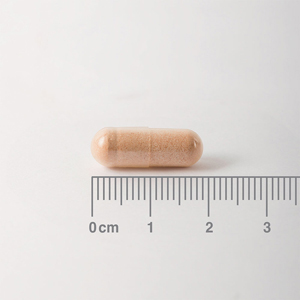 [:es]Pycnogenol® 40 mg es un Extracto de Corteza de Pino Marítimo Lamberts[:en]Pycnogenol 40 mg Lamberts[:]