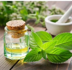 hoja de menta